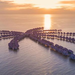Golden Palm Tree Sepang